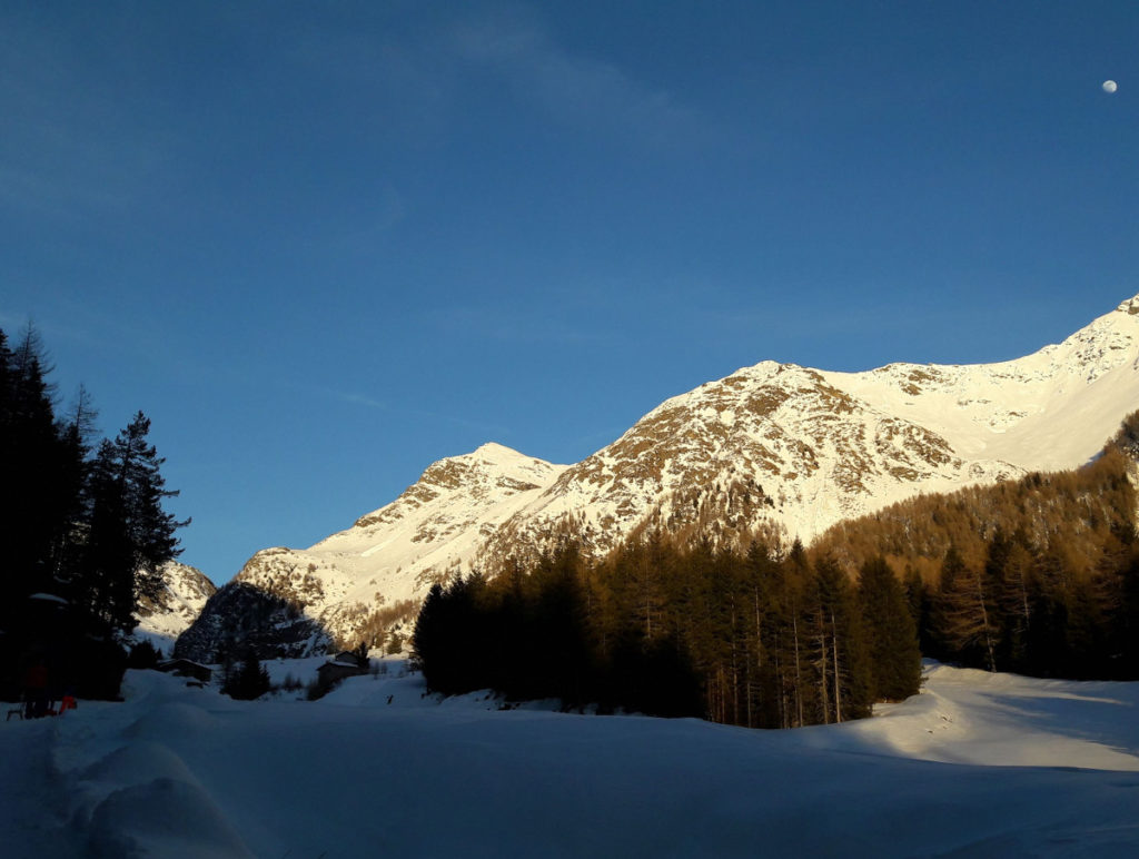 where to sledge in Bormio val di rezzalo foto art 4