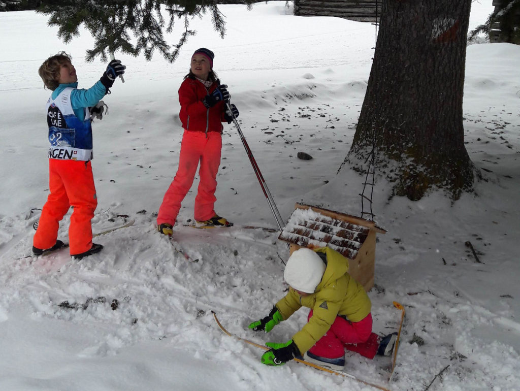 cross country skiing in Bormio Santa Caterina foto art 5