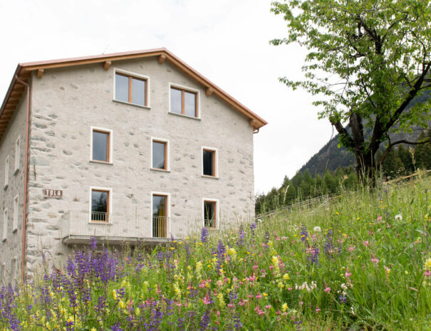 villa-Tola-Giallo-apartment-foto-24