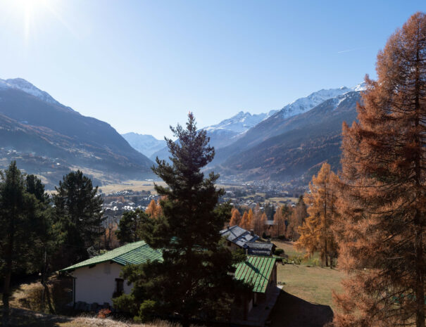 appartamento-monte-ortigara-9-bormio-foto-29