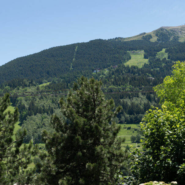 Appartamento-Cacciatori-delle-Alpi-7-Bormio-Foto-3