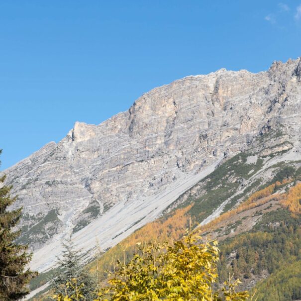 Appartamento-Castellazzi-12-Aquila-Bormio-foto-22