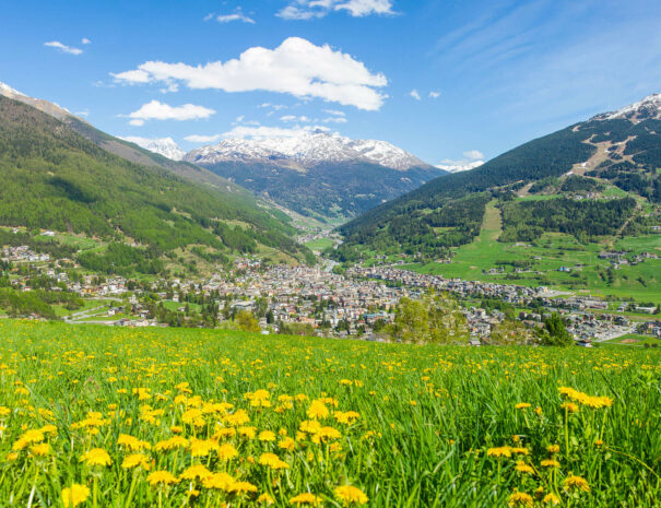 Paesaggi_Bormio_Oga_GM