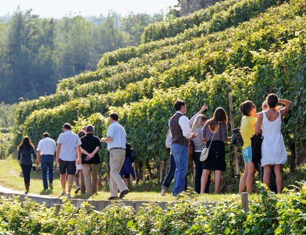 visita-vini-valtellinesi-triacca
